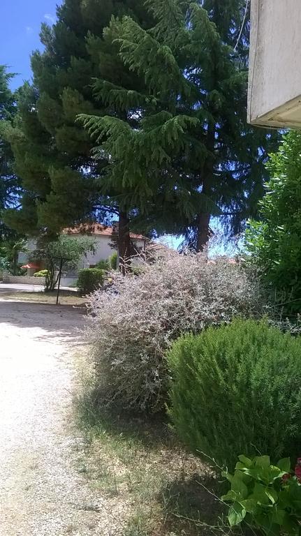 New Apartment Axel With Sea View 2025 Rovinj Rom bilde